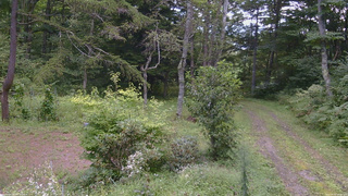 長野県菅平高原 ゆたか山荘 坂上 2026/09/01 12:30