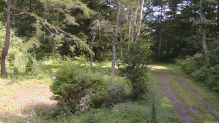 長野県菅平高原 ゆたか山荘 坂上 2026/09/01 12:45