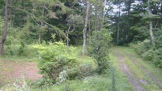 長野県菅平高原 ゆたか山荘 坂上 2026/09/01 13:00