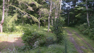 長野県菅平高原 ゆたか山荘 坂上 2026/09/01 14:00