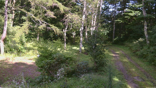 長野県菅平高原 ゆたか山荘 坂上 2026/09/01 14:15
