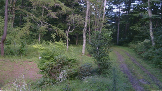 長野県菅平高原 ゆたか山荘 坂上 2026/09/01 15:00