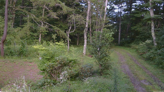 長野県菅平高原 ゆたか山荘 坂上 2026/09/01 15:30