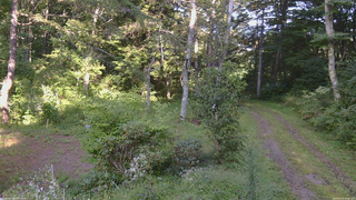 長野県菅平高原 ゆたか山荘 坂上 2026/09/01 15:45