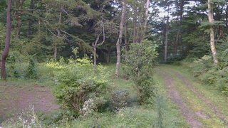 長野県菅平高原 ゆたか山荘 坂上 2026/09/01 16:30