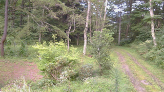 長野県菅平高原 ゆたか山荘 坂上 2026/09/01 16:45