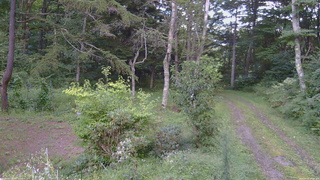長野県菅平高原 ゆたか山荘 坂上 2026/09/01 17:00
