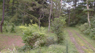 長野県菅平高原 ゆたか山荘 坂上 2026/09/01 17:15