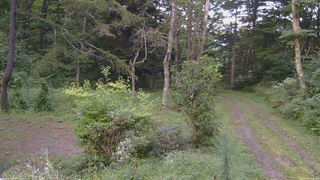 長野県菅平高原 ゆたか山荘 坂上 2026/09/01 17:30