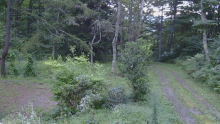 長野県菅平高原 ゆたか山荘 坂上 2026/09/01 17:45