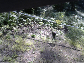 長野県菅平高原 ゆたか山荘 駐車場 2026/09/02 08:00