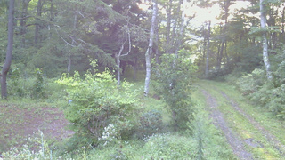 長野県菅平高原 ゆたか山荘 坂上 2026/09/02 05:45
