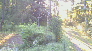 長野県菅平高原 ゆたか山荘 坂上 2026/09/02 06:00