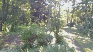 長野県菅平高原 ゆたか山荘 坂上 2026/09/02 07:15
