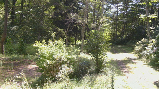 長野県菅平高原 ゆたか山荘 坂上 2026/09/02 09:30