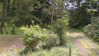 長野県菅平高原 ゆたか山荘 坂上 2026/09/02 09:45