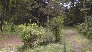 長野県菅平高原 ゆたか山荘 坂上 2026/09/02 10:00