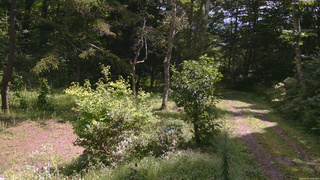 長野県菅平高原 ゆたか山荘 坂上 2026/09/02 10:45