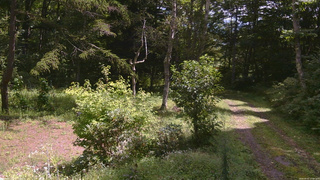 長野県菅平高原 ゆたか山荘 坂上 2026/09/02 11:00