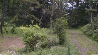 長野県菅平高原 ゆたか山荘 坂上 2026/09/02 11:15