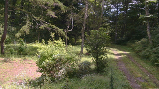 長野県菅平高原 ゆたか山荘 坂上 2026/09/02 11:30