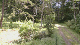 長野県菅平高原 ゆたか山荘 坂上 2026/09/02 11:45