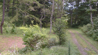 長野県菅平高原 ゆたか山荘 坂上 2026/09/02 12:00