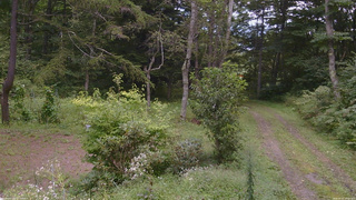 長野県菅平高原 ゆたか山荘 坂上 2026/09/02 12:15