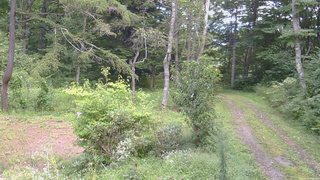 長野県菅平高原 ゆたか山荘 坂上 2026/09/02 13:00