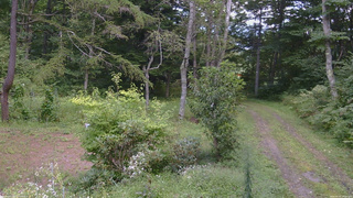 長野県菅平高原 ゆたか山荘 坂上 2026/09/02 13:15
