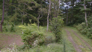 長野県菅平高原 ゆたか山荘 坂上 2026/09/02 13:30