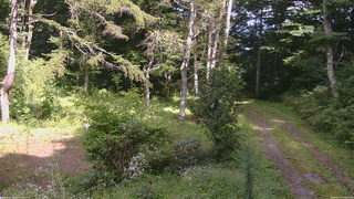 長野県菅平高原 ゆたか山荘 坂上 2026/09/02 14:00