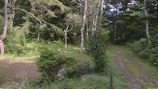 長野県菅平高原 ゆたか山荘 坂上 2026/09/02 14:15