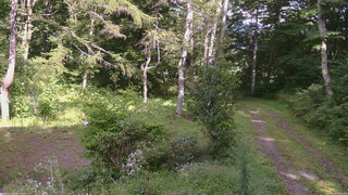 長野県菅平高原 ゆたか山荘 坂上 2026/09/02 14:30