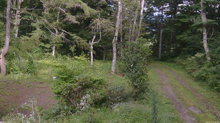 長野県菅平高原 ゆたか山荘 坂上 2026/09/02 14:45