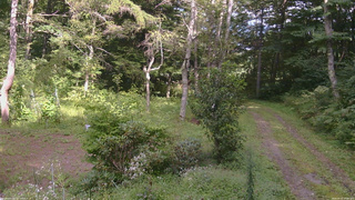 長野県菅平高原 ゆたか山荘 坂上 2026/09/02 15:00