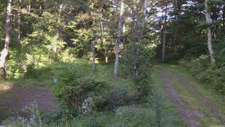 長野県菅平高原 ゆたか山荘 坂上 2026/09/02 15:45