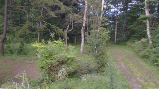 長野県菅平高原 ゆたか山荘 坂上 2026/09/02 17:15