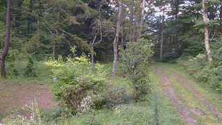 長野県菅平高原 ゆたか山荘 坂上 2026/09/02 17:30