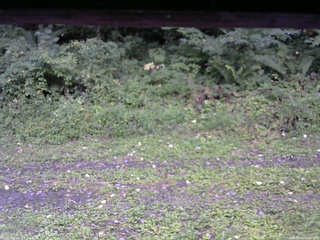 長野県菅平高原 ゆたか山荘 東側(坂下) 2026/09/03 06:00