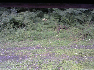 長野県菅平高原 ゆたか山荘 東側(坂下) 2026/09/03 06:15