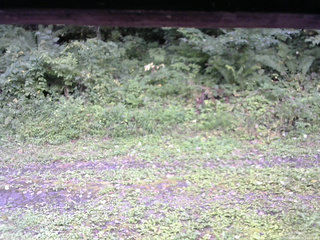 長野県菅平高原 ゆたか山荘 東側(坂下) 2026/09/03 10:00