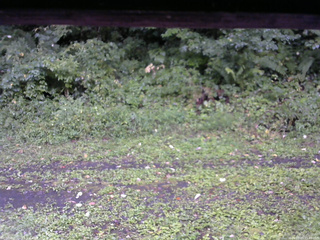 長野県菅平高原 ゆたか山荘 東側(坂下) 2026/09/03 15:45
