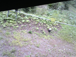 長野県菅平高原 ゆたか山荘 駐車場 2026/09/03 09:15