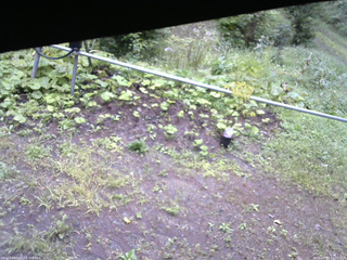 長野県菅平高原 ゆたか山荘 駐車場 2026/09/03 15:15
