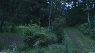 長野県菅平高原 ゆたか山荘 坂上 2026/09/03 05:15