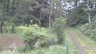長野県菅平高原 ゆたか山荘 坂上 2026/09/03 05:30