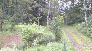 長野県菅平高原 ゆたか山荘 坂上 2026/09/03 05:45