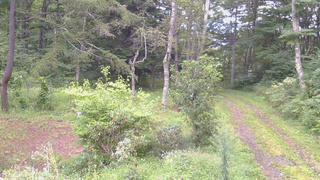 長野県菅平高原 ゆたか山荘 坂上 2026/09/03 06:00