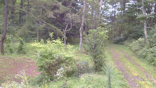 長野県菅平高原 ゆたか山荘 坂上 2026/09/03 06:15